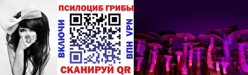 Галлюциногенные грибы мицелий  дарнет шоп  blacksprut онион  Новокузнецк 